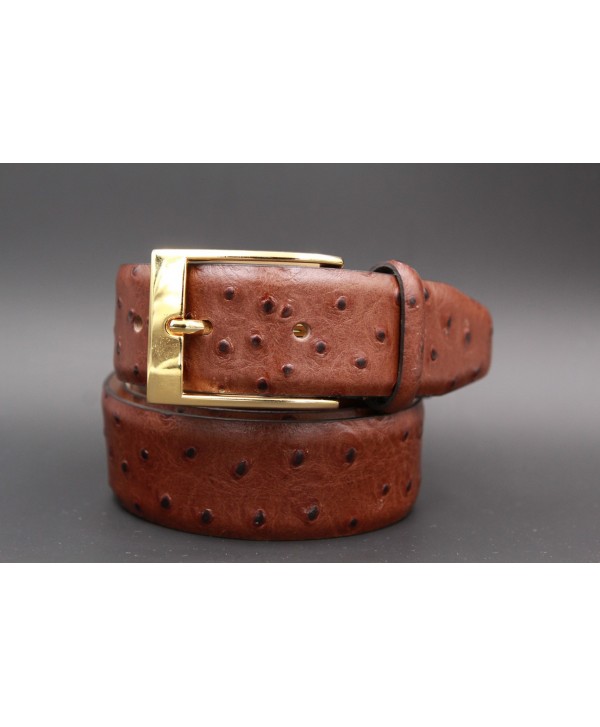 Brown Croco-style leather belt - golden buckle